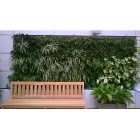 Green Gifts