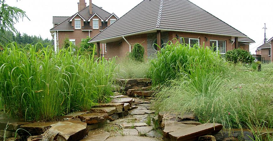 Ландшафтный дизайн и злаковые травы
